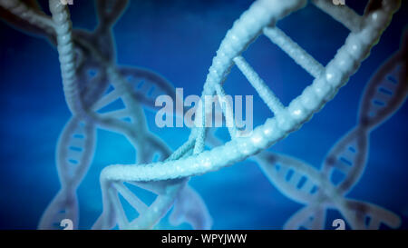 DNA-Struktur, Molekül, das Konzept, der Doppelhelix, die genetischen Anweisungen Stockfoto