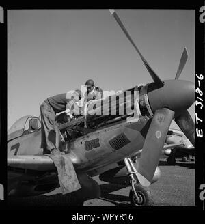 [Tuskegee Airmen Marcellus G. Smith und Roscoe C. Braun, Ramitelli, Italien, März 1945]; Foto zeigt von links nach rechts, von Marcellus G. Smith, Louisville, Kentucky, und Roscoe C. Braun, New York, NY Klasse 44-C. P-SC #11, Tootsie, im Hintergrund wurde in Lowell Verwalter zugewiesen. Ramitelli, Italien, März 1945. (Quelle: Tuskegee Airmen 332 Fighter Group Piloten.); Stockfoto