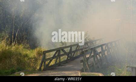 Holz Fußgängerbrücke in Rauch von Feuer verloren Stockfoto