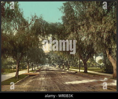 Marengo Avenue in Pasadena, Kalifornien; Stockfoto