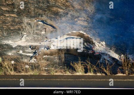 Santa Barbara, Kalifornien, USA. 9 Sep, 2019. Santa Barbara Feuermannschaften kämpfen Bürste Feuer in der Nähe von Highway 101 und 246 Credit: Amy Katz/ZUMA Draht/Alamy leben Nachrichten Stockfoto