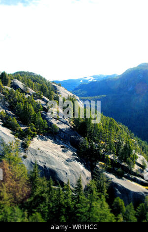 Granitfelsen und Nadelwald Ansichten aus Stawamus Chief Mountain Wanderwege, British Columbia, Kanada Stockfoto