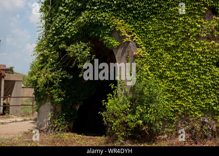 McMillan Reservoir, Washington, D.C Stockfoto