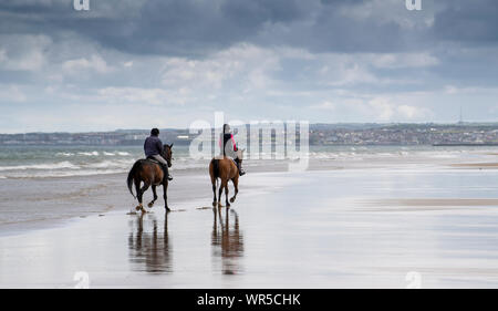 Mitfahrer der Ausübung ihrer Pferde auf benone Strand, Nordirland, Großbritannien. Stockfoto