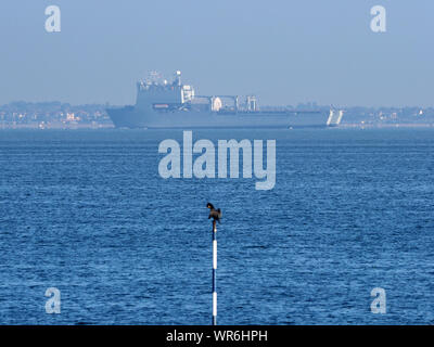 Sheerness, Kent, Großbritannien. 10. September, 2019. Royal Fleet Auxiliary ship" Lyme Bay 'aus gesehen von Sheerness, Kent heute morgen in der Früh Morgens Nebel gesehen, da es für London fährt. RFA-Lyme Bay besucht London International Versand Woche. Die Defence and Security Equipment International (DSEI) zeigen sich auch bei Excel. Credit: James Bell/Alamy leben Nachrichten Stockfoto