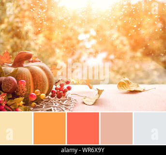 Farblich passende Palette von oben Bild Anzeigen des Fensters Herbst Dekorationen mit Kürbissen und trockene Blätter auf einem Fenster board Stockfoto