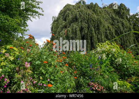 Pflanzen und Männer, Open air Ausstellung in Vincennes Park, Vincennes, Val-de-Marne, Region Île-de-France, Frankreich Stockfoto