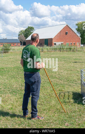 Kieldrecht, Belgien, September 1, 2019, Schafe Schäfer hat großes Vertrauen in seinen Hund Stockfoto