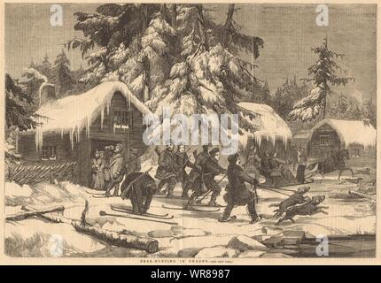Bärenjagd in Schweden auf Skiern mit Schlitten & Hunde 1856 Antike ILN volle Seite Stockfoto