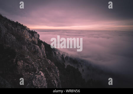Nebel und Cloud Mountain Valley Landschaft in Österreich Stockfoto