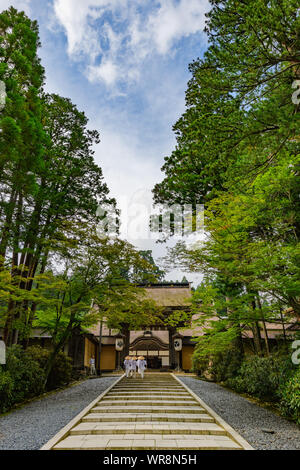 Wakayama, Japan - 23 Juli 2019: Stein Treppe zum Eingang der Kongobuji Tempel, die ursprünglich im Jahr 1593 gebaut von Toyotomi Hideyoshi zu comme Stockfoto