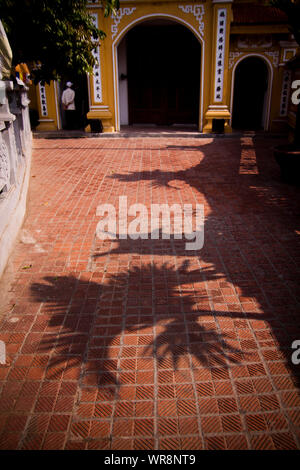 Palm Tree Shadows Fall auf dem Weg zum Eingang der Chua Tran Quoc in Hanoi, Vietnam. Stockfoto