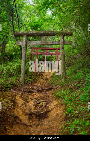 Alten hölzernen Toren, mit Worten "Angebot", auf dem Berg Wanderweg führt zum Gipfel des Mount Bentendake, dem höchsten Punkt von Koyasan Doppelzi. Stockfoto