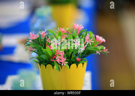 Moskau/Russland -09/08/2019 - Moskau Gnade regionale Konkurrenz: Stockfoto