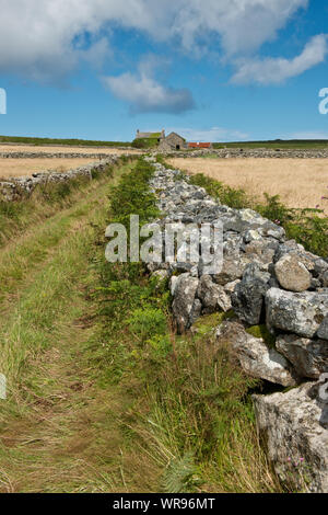 Weg zur verlassenen Hof, Bosullow, Cornwall, England, Großbritannien Stockfoto