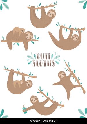 Vektor einrichten von lustigen Faultiere. Handgezeichneten Cartoon Illustration eines Faultiere hängen an einem Zweig für Kinder, ein tropischer Sommer, Urlaub, Karte, Banner, nur Stock Vektor