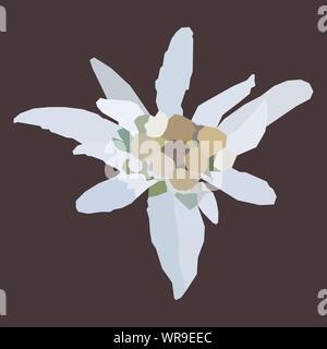 Edelweiss Berg Blume - Low Poly. Polygon Vektor eines weißen, alpinen Blume namens Leontopodium nivale, benutzt als Symbol oder Logo für alpin Stock Vektor