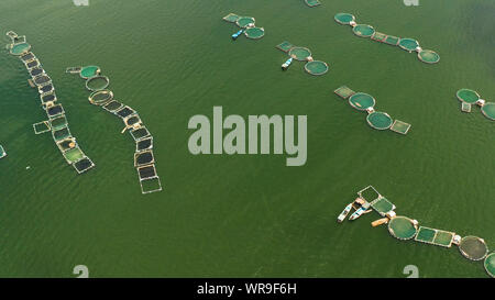 Fischzucht mit Käfigen für Fische und Garnelen auf dem See Taal, Ansicht von oben. Fisch Käfig für Tilapia, milchfisch Landwirtschaft Aquakultur oder Fischzucht Praktiken. Philippinen, Luzon. Stockfoto