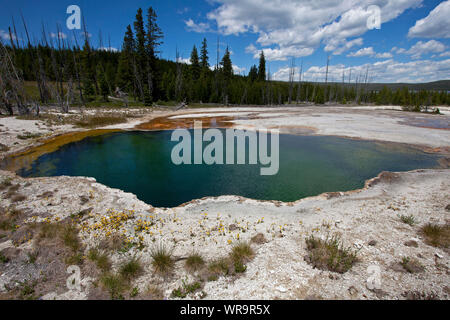 Abyss Pool West Thumb Geyser Basin Yellowstone National Park, Wyoming, USA, Juni 2015 Stockfoto