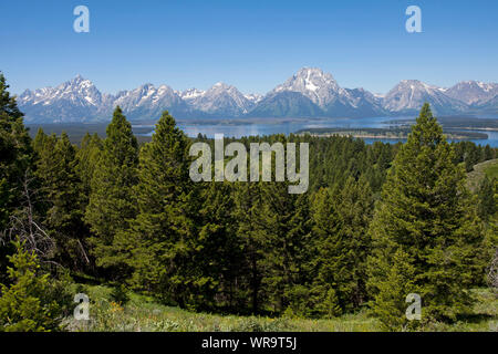 Blick vom Signal Mountain zum Grand Teton und die Teton Bergkette der Grand Teton National Park Wyoming USA Juni 2015 Stockfoto