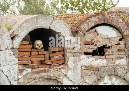 Schädel in verlassenen Friedhof, auf die Steine, die die alten Nischen abgedeckt werden Stockfoto