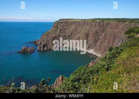 Basaltsäulen Südwesten Kopf Grand Manan Island Bucht von Fundy New Brunswick Kanada August 2016 Stockfoto