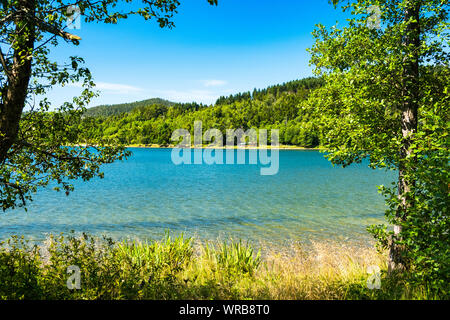 Blick auf den schönen See Bajer in Gorski Kotar, Kroatien, schönen grünen Mountain Resort Stockfoto