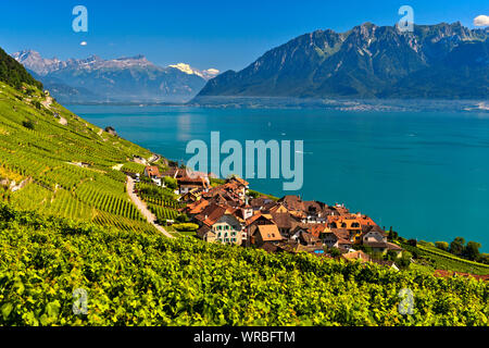 Weinbau Dorf Epesses am Genfer See in der zum UNESCO-Weltkulturerbe Lavaux Weinberg Region Waadt, Schweiz Stockfoto