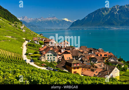 Weinbau Dorf Epesses am Genfer See in der zum UNESCO-Weltkulturerbe Lavaux Weinberg Region Waadt, Schweiz Stockfoto