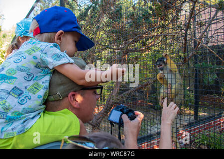 Kleiner Junge sitzt auf den Schultern seines Vaters einen niedlichen Eichhörnchen Affe hinter einem Zaun in einem Zoo, während Vati Bilder mit seiner Kamera nimmt Stockfoto