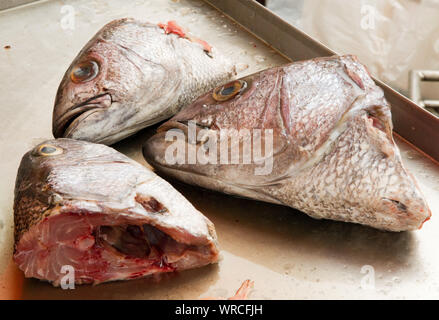 Fischköpfe, Markt, Penang, 2010 Stockfoto