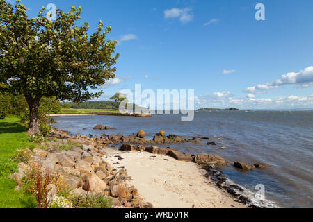 Einen sonnigen Tag entlang der Fife Coastal Path in Dalgety Bay Fife, Schottland Stockfoto