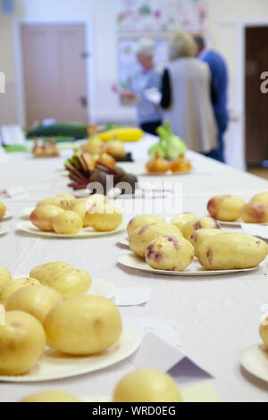 Einträge in der kinghorn Dorf Gemüse- und Flower Show, Fife, Schottland. Stockfoto