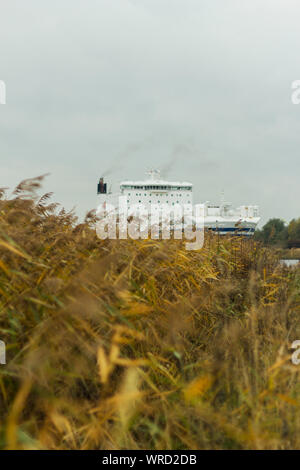 Frachtschiff Fähre hinter Schilfgras Reed vor Grauen windigen Himmel, Herbst Trave in Norddeutschland Ostsee Stockfoto