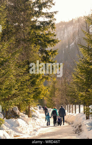 Eine Familie und ein paar andere Leute auf einem schneebedeckten Weg durch den dichten Wald des Alm Tal in der Nähe von Grünau im Almtal, OÖ, Österreich Stockfoto