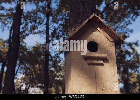 Cute leer Holz Vogelhaus im Park. Handgefertigte Haus für die Vögel in den Bäumen. Ein Spatz. Nahaufnahme. Stockfoto