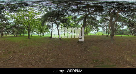 360 Grad Panorama Ansicht von Gyeongju, Südkorea 27. August 2019: 360 VR Weltkulturerbe Gyeongju historischen Bereichen.