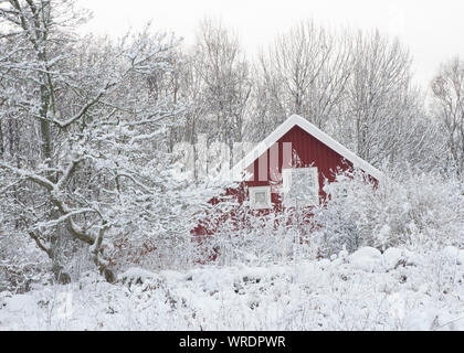 Schweden - Winter, Kältesten, Jahreszeit, Regionen, Einfrieren, Temperaturen, Eis, Schnee Stockfoto