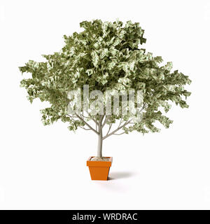 Geld Baum mit US-Dollar, USD Stockfoto