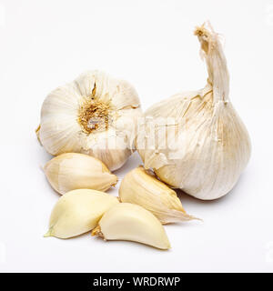 Knoblauch Zwiebeln und Knoblauchzehen auf weißem Hintergrund Stockfoto