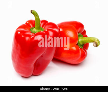 Zwei rote Paprika auf weißem Hintergrund Stockfoto