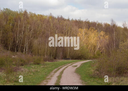 Pfad anzeigen durch bewaldete Fläche von Walton Colliery Natur Park Stockfoto