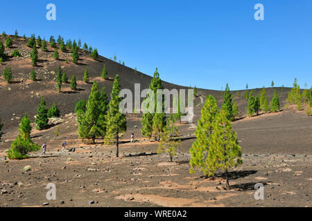 Samara Vulkan in den Teide Nationalpark (Parque Nacional del Teide). Teneriffa, Kanarische Inseln, Spanien Stockfoto