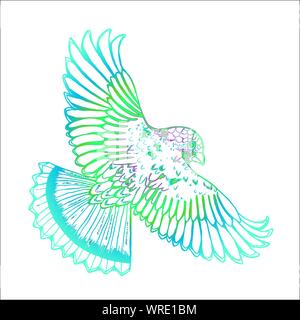 Farbe der Zeichnung ein Adler. Im Flug Vogel Stock Vektor