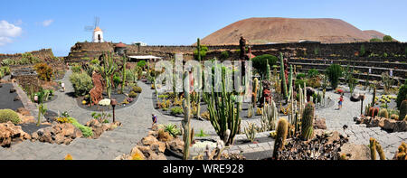 Jardin de Cactus (Cesar Manrique). Lanzarote, Kanarische Inseln. Spanien Stockfoto