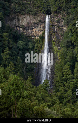 Nachi fällt - der höchste Wasserfall in Japan mit einer ununterbrochenen sinken. Nachikatsuura, Präfektur Wakayama, Japan Stockfoto
