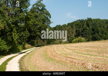 Single Lane Country Straße, die neben der geernteten Feld und Wald in Schwäbische Alb, Deutschland Stockfoto