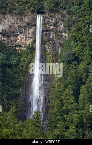 Nachi fällt - der höchste Wasserfall in Japan mit einer ununterbrochenen sinken. Nachikatsuura, Präfektur Wakayama, Japan Stockfoto
