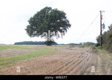 Wigginton Flugplatz in Hertfordshire Sept 10, 2019 Stockfoto