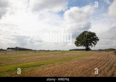 Wigginton Flugplatz in Hertfordshire Sept 10, 2019 Stockfoto